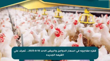 قفزة مفاجئة في أسعار الدواجن والبيض الأحد 10-8-2025.. تعرف على القيمة الجديدة